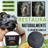 ReNatureHair™ - Restaura el color de tu cabello