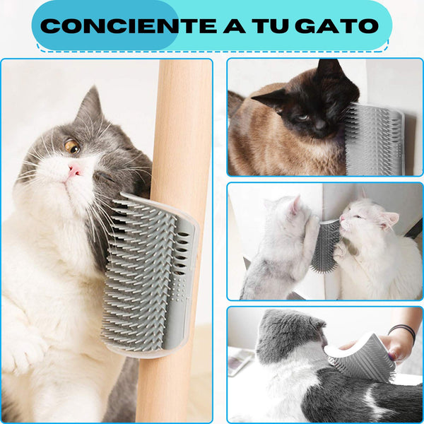 Gatufy®  cepilla y masajea a tu gato. lleva 2x1